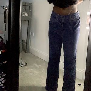 Ann Taylor LOFT jeans